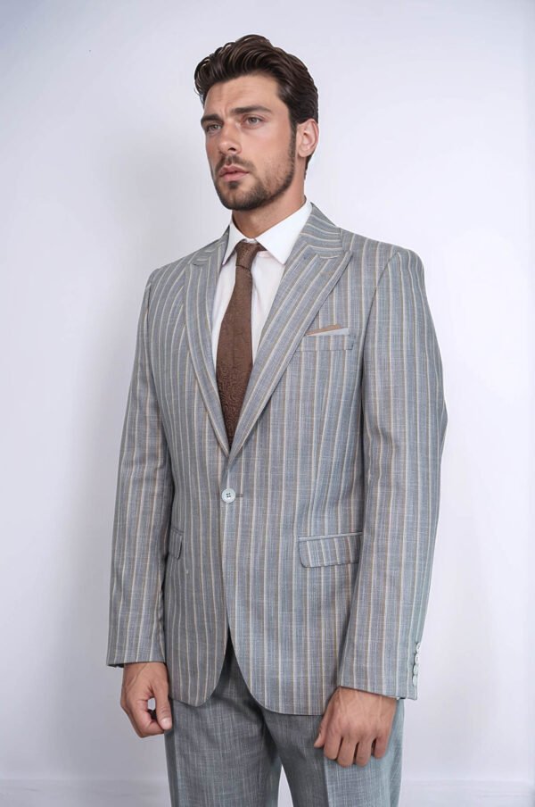 Striped Blazer Plain Pants Grey Men Suit