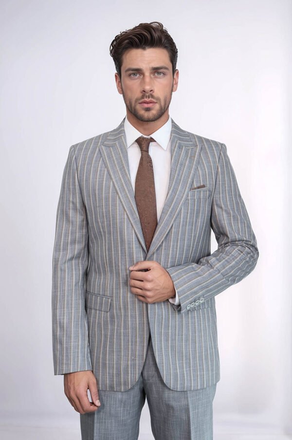 Striped Blazer Plain Pants Grey Men Suit