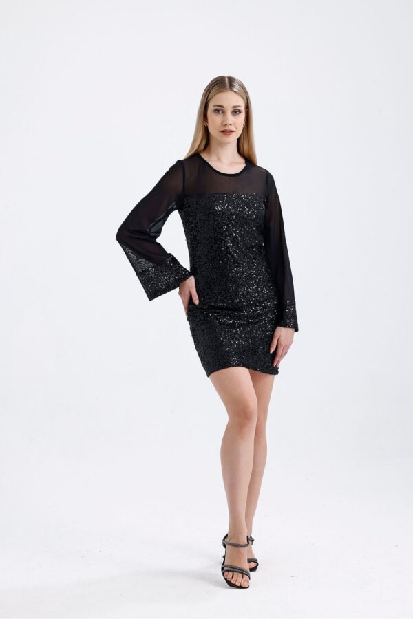 Black Lined Top with Sequin Dress and Sleeves with Lycra Tulle Trim