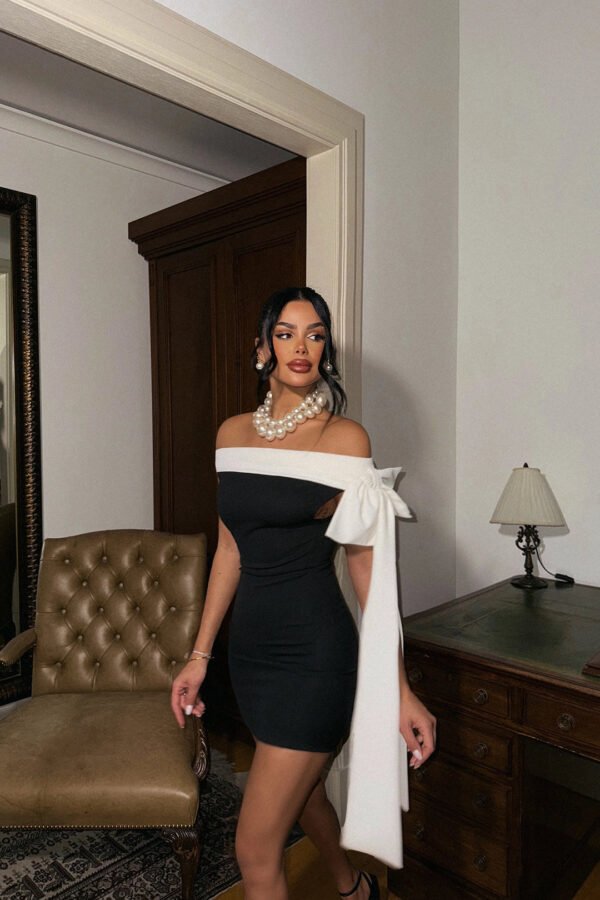 EYY Women Black Bow Detail Mini Dress