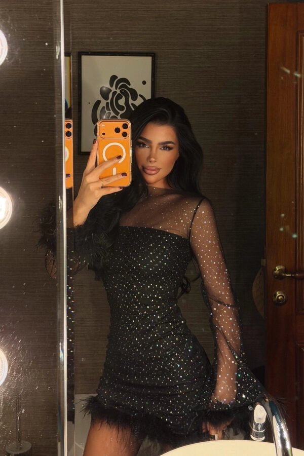 EYY Women Black Sheer Midi Dress