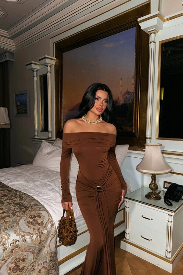 EYY Women Brown Long Sleeve Dress