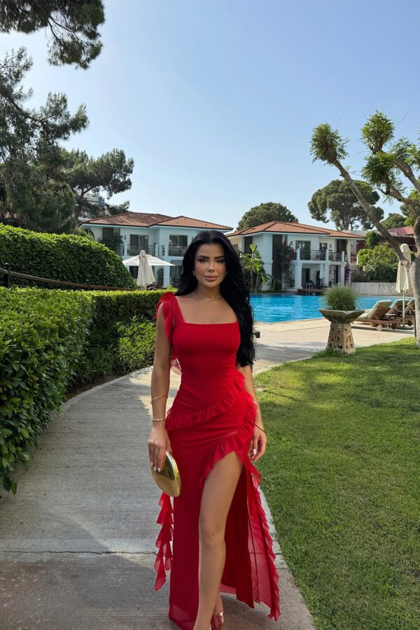 EYY Women Red Astrid Slit Long Dress Color: Red Pattern: Plain Details: Long slit, sleeveless, tailored fit Fabric Content: Tulle fabric